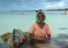 Seegrasanbau im indischen Ozean