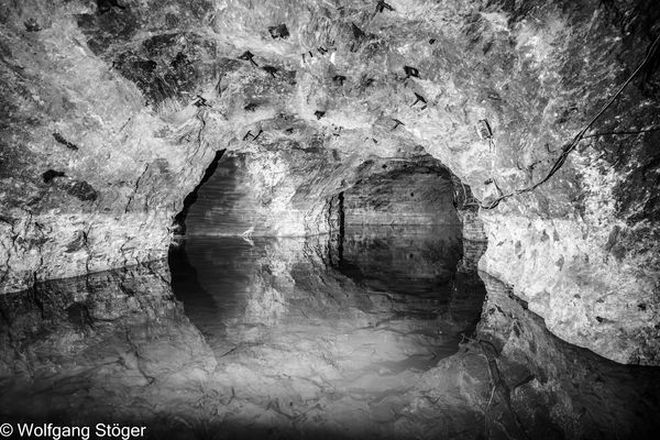 Seegrotte Hinterbrühl IV