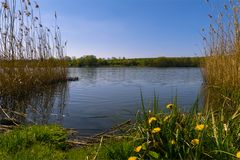 Seehäuser See