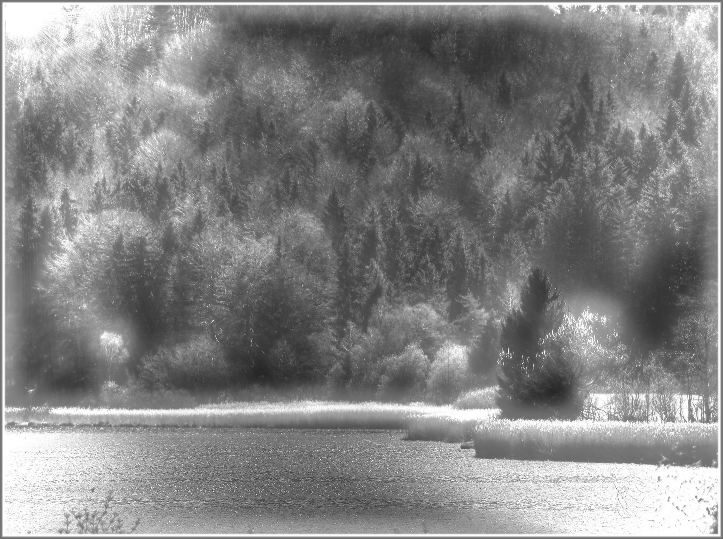 Seehamer See P4020090_1_2_tonemapped