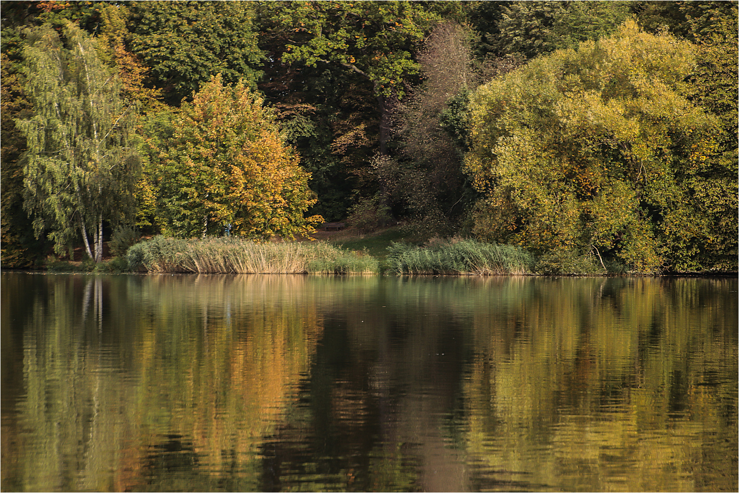 Seeherbst