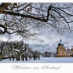 Seehofer Wintertrübnis