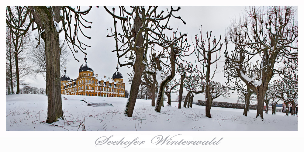 Seehofer Winterwald