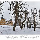 Seehofer Winterwald