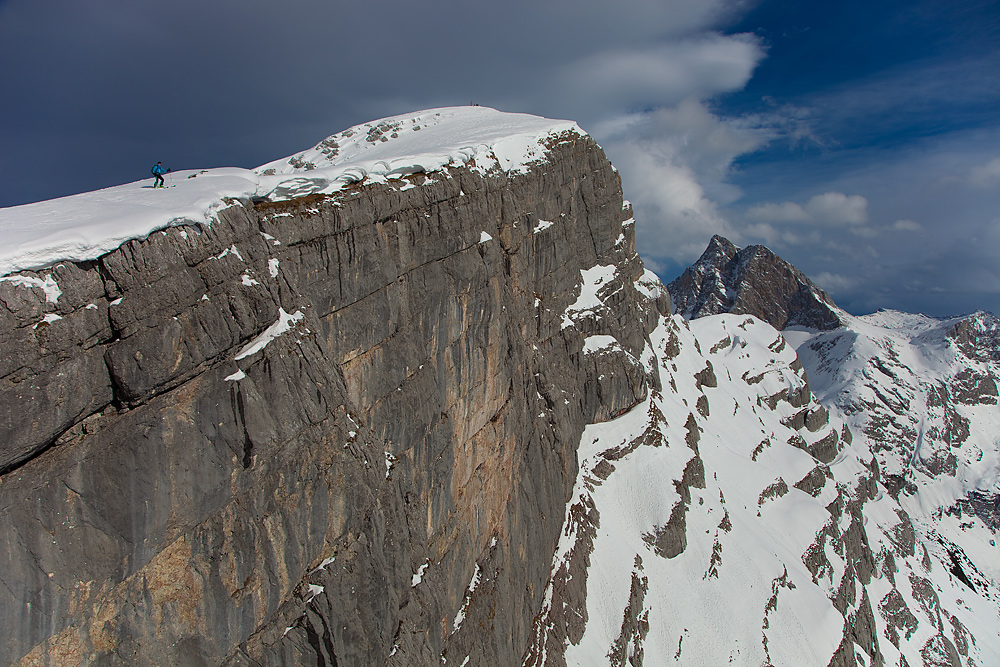 Seehorn