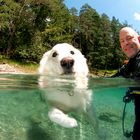 Seehunde im Samaranger See !