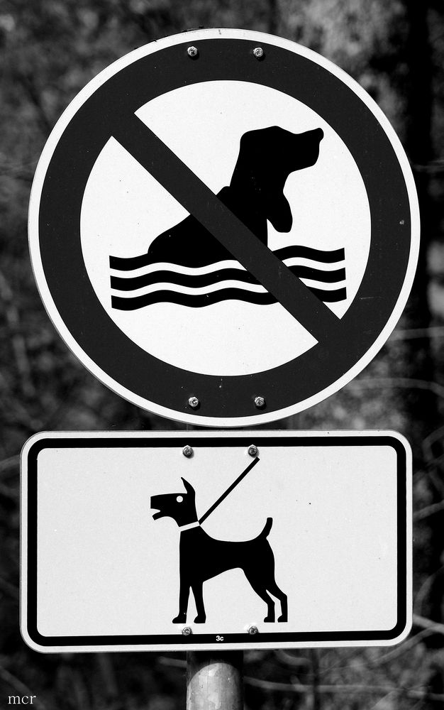 Seehunde verboten!