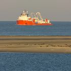 Seehundsandbank vor Borkum