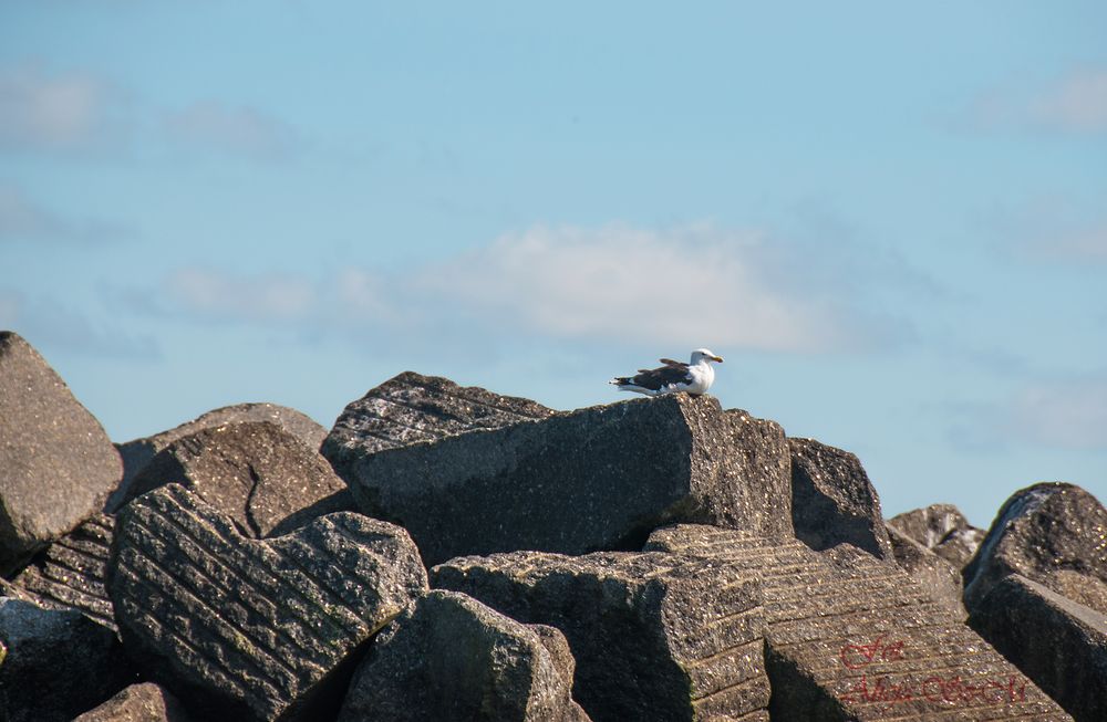 Seehundsbänken 