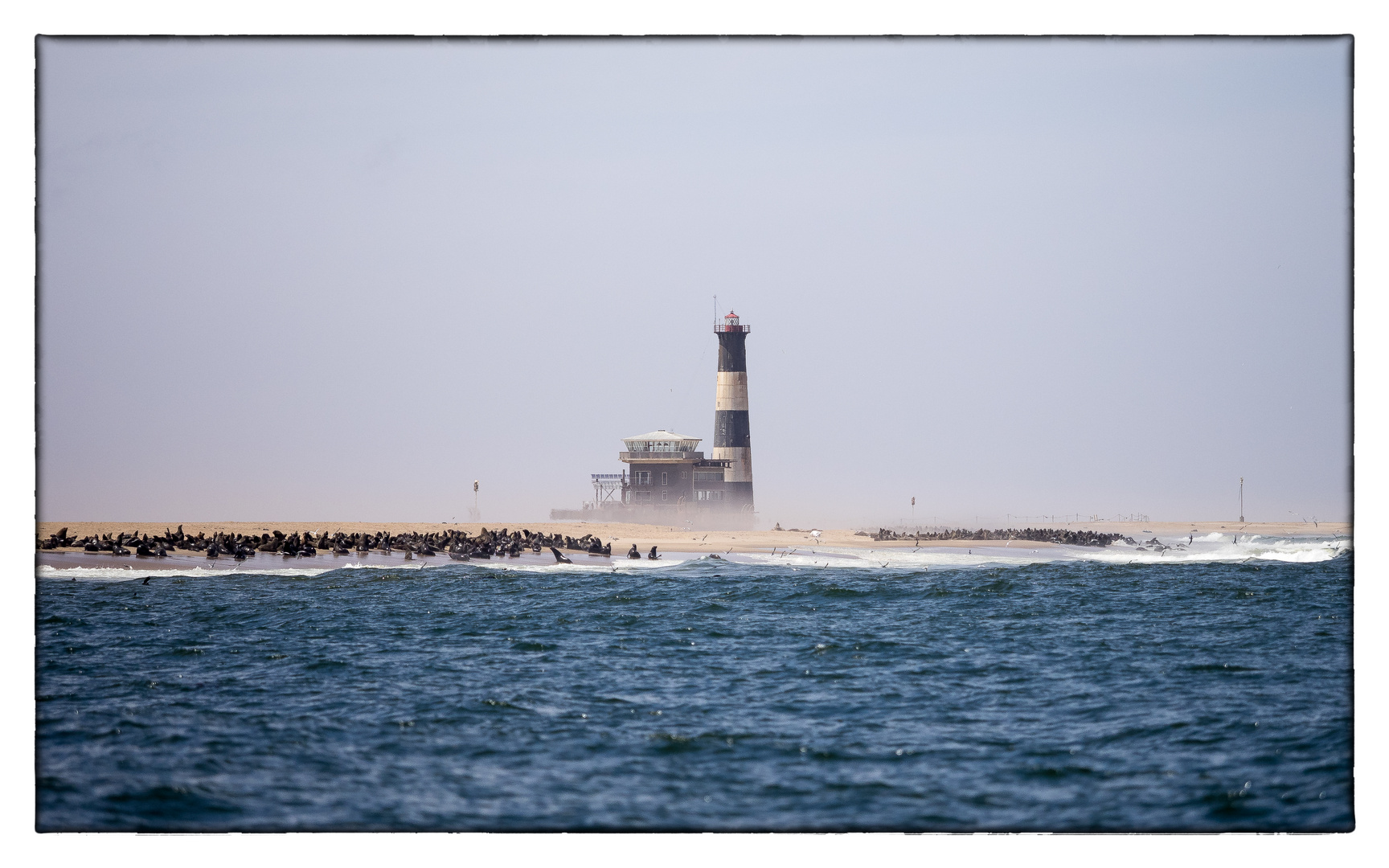 Seehundskolonie Walvis Bay Namibia