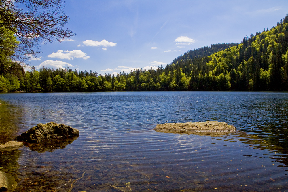 Seeidylle im Schwarzwald