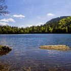 Seeidylle im Schwarzwald