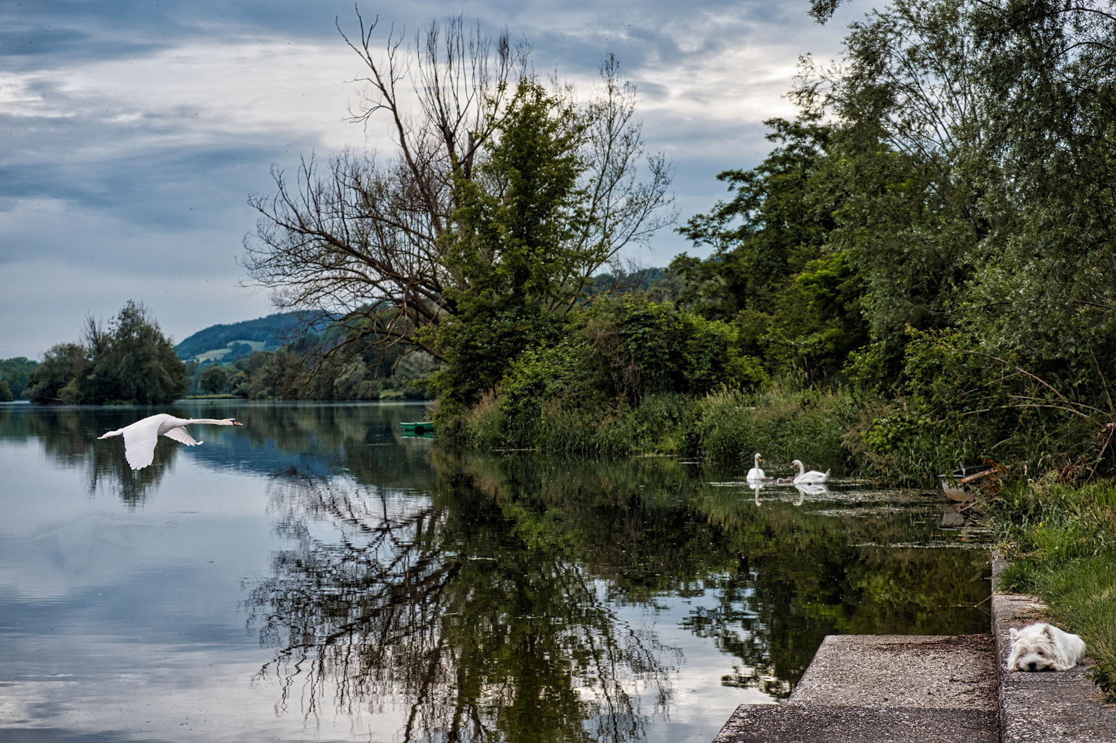 Seeidylle mit 4 x weiß