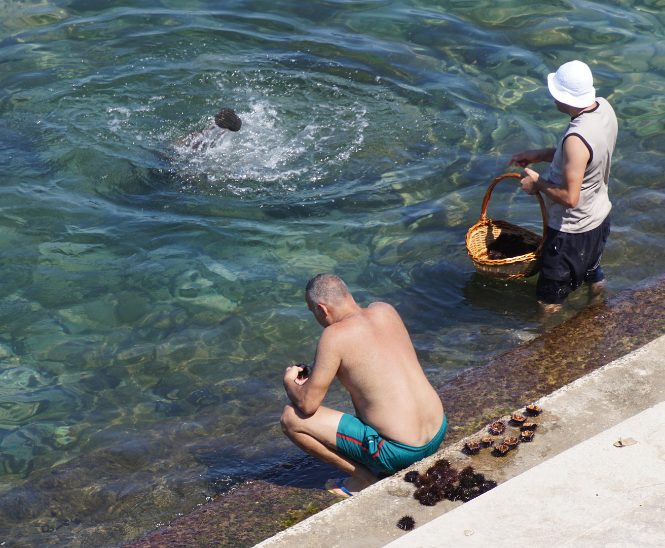 Seeigel-Taucher am Strand von Barcelona