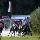 Seejagdrennen Quakenbrück 2010