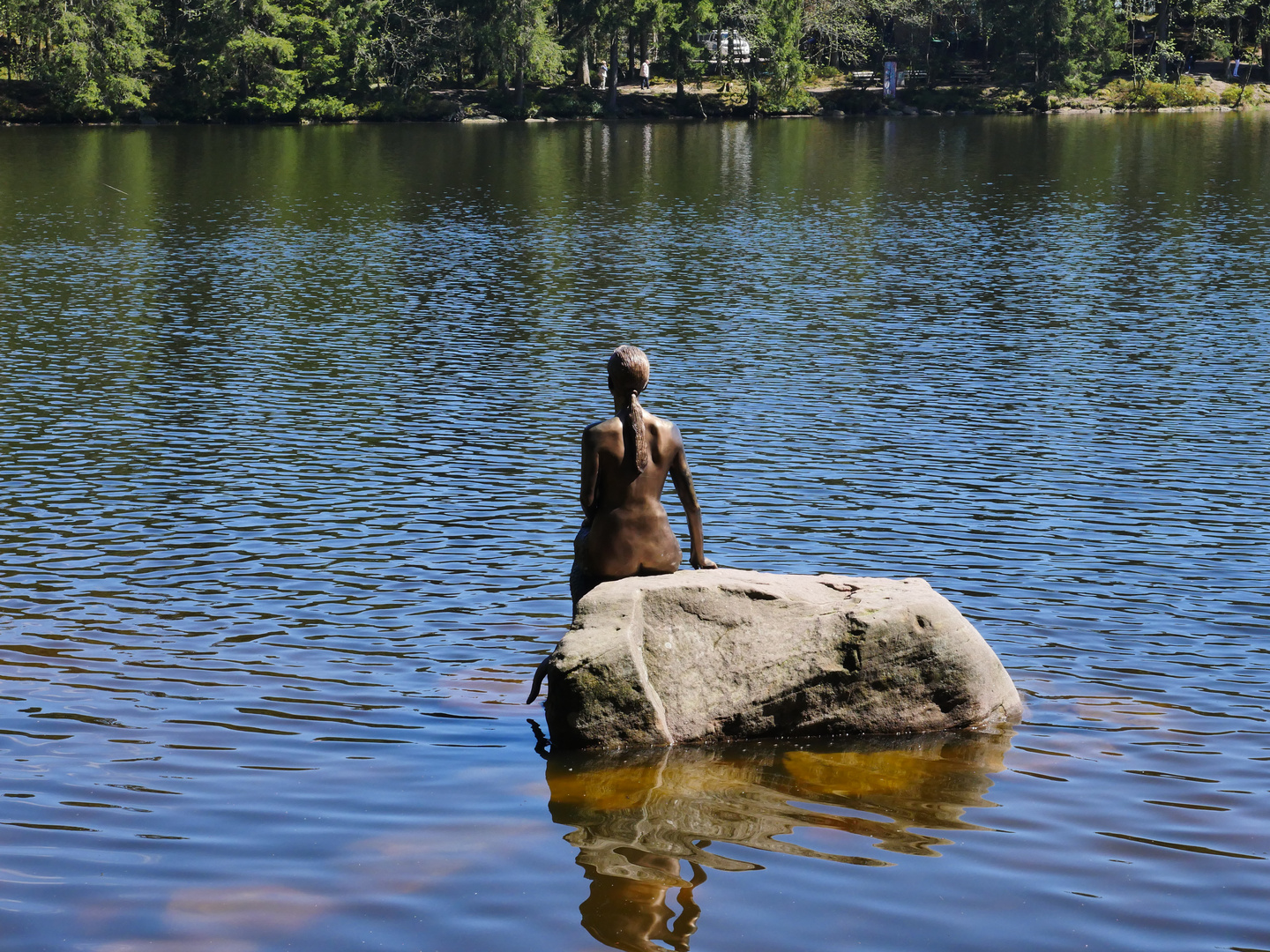 Seejungfrau Foto &amp; Bild | landschaft, bach, fluss &amp; see, see, teich ...