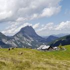 Seekaralm mit Lugauer - Eisenerzer Alpen