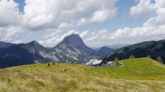 Seekaralm mit Lugauer - Eisenerzer Alpen