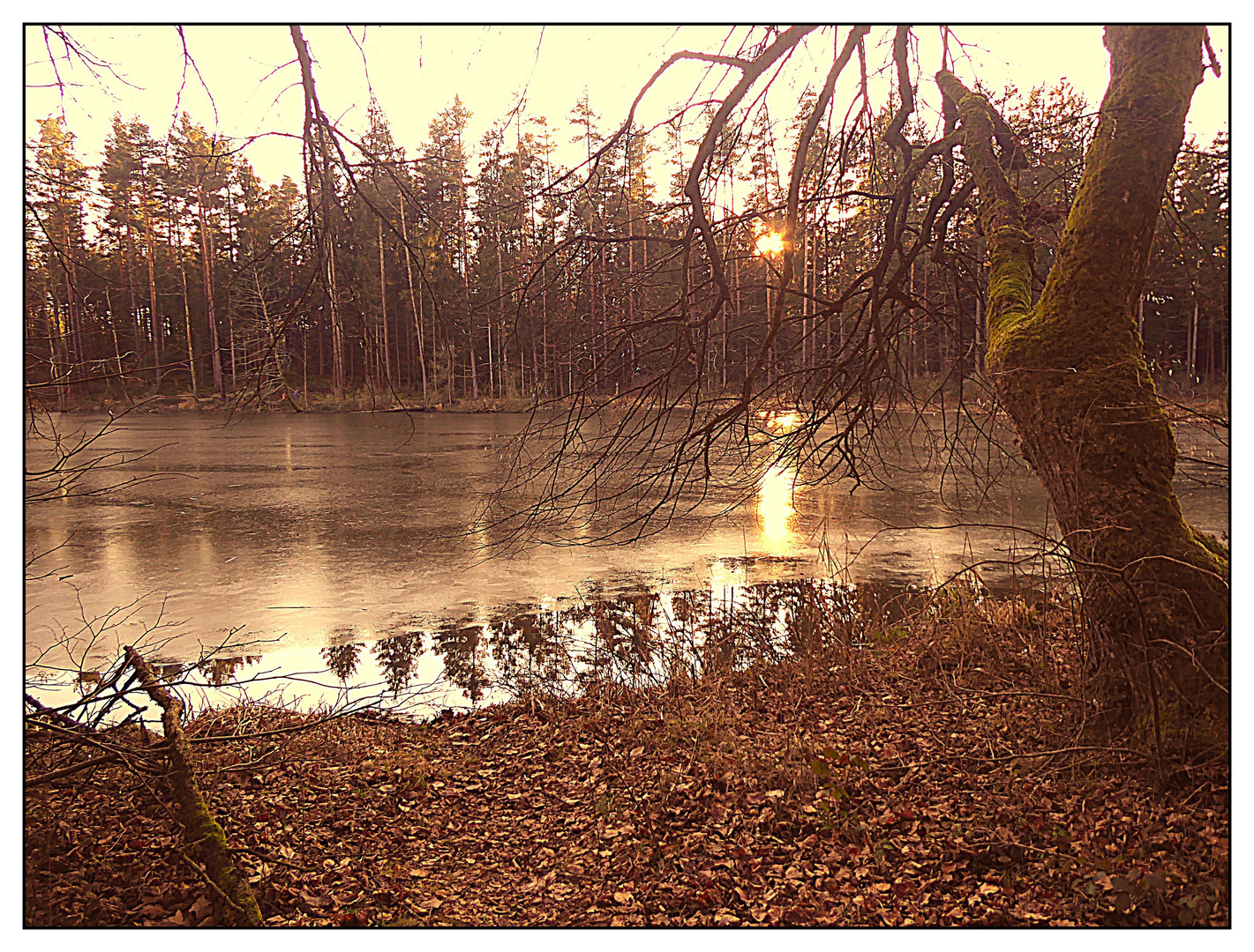 Seelandschaft am Faberhof