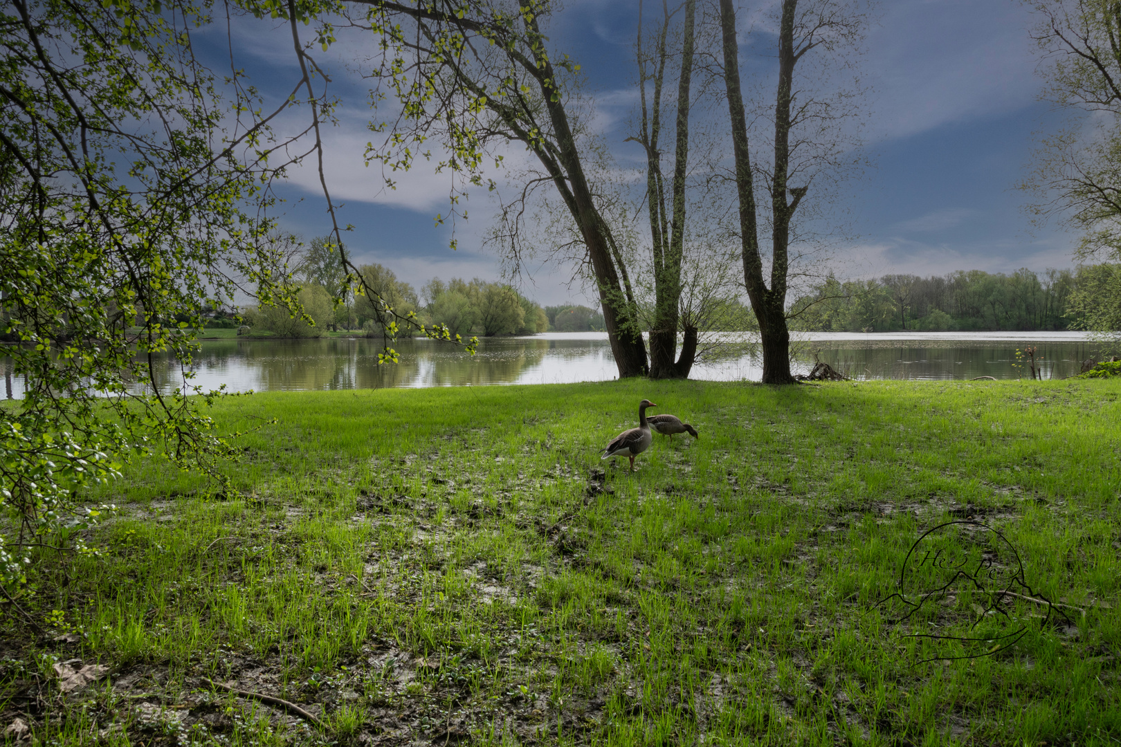 Seelandschaft am Ölpersee