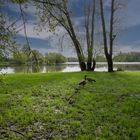 Seelandschaft am Ölpersee