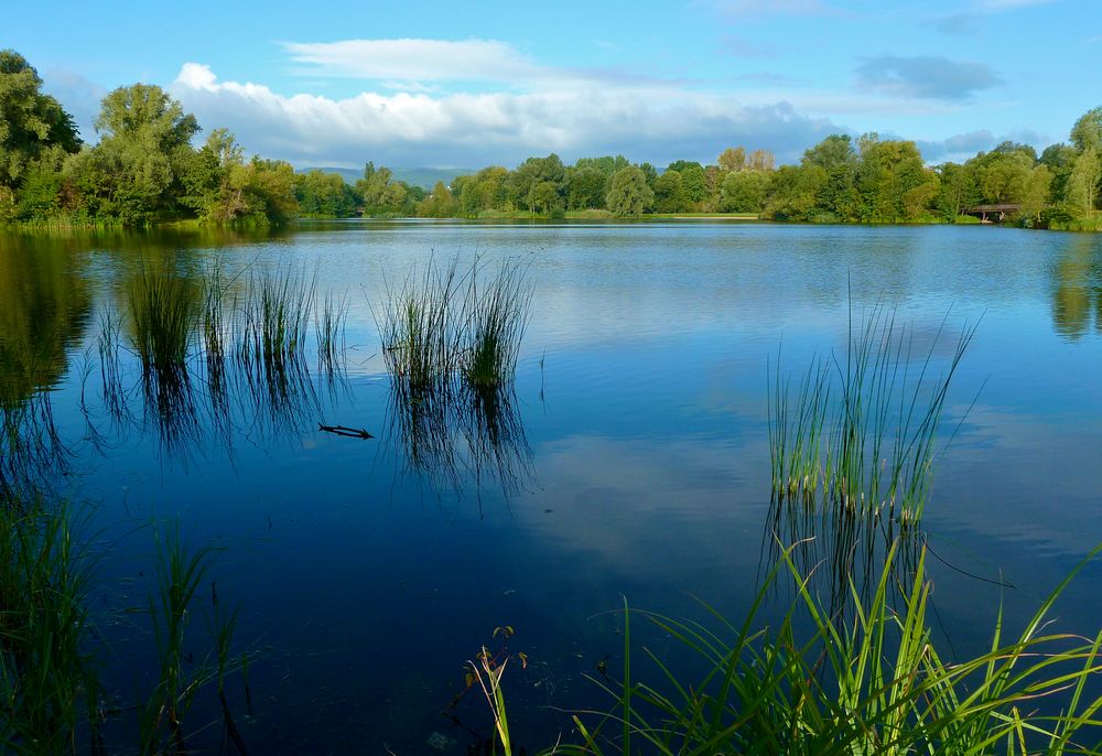 Seelandschaft Foto & Bild landschaft, bach, fluss & see, see, teich