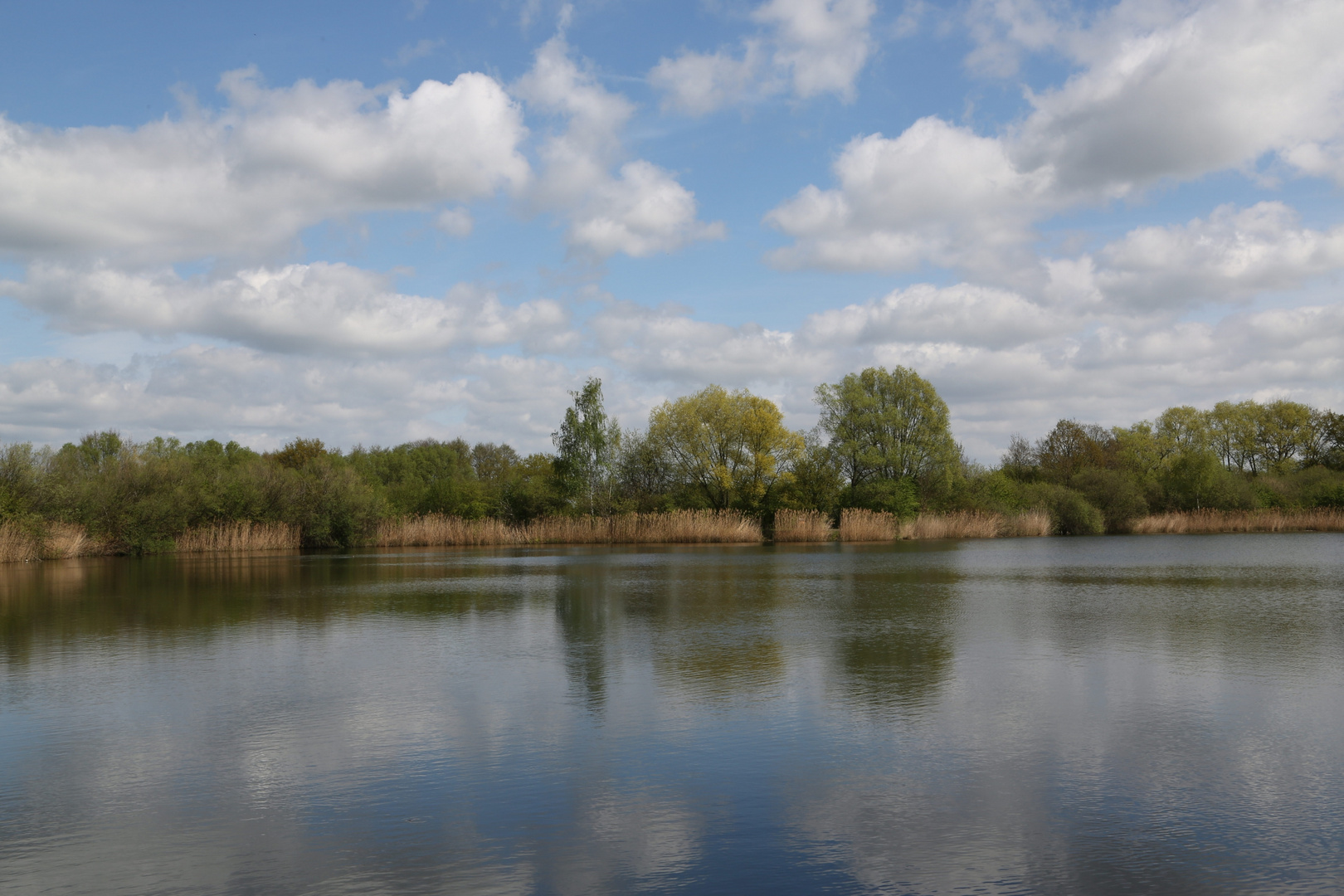 Seelandschaft im Frühling