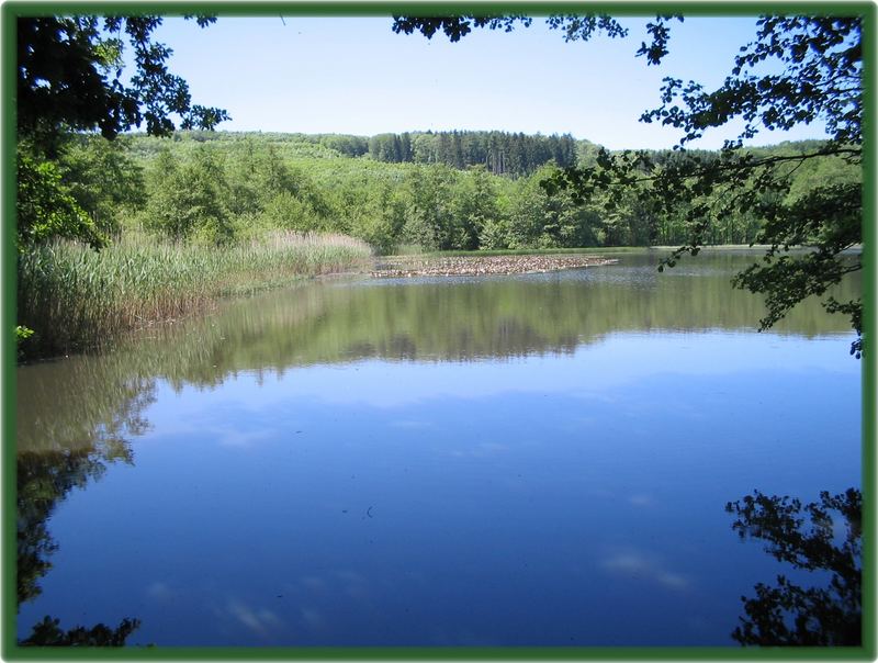 Seelandschaft im Vogelsberg