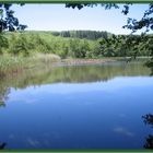 Seelandschaft im Vogelsberg