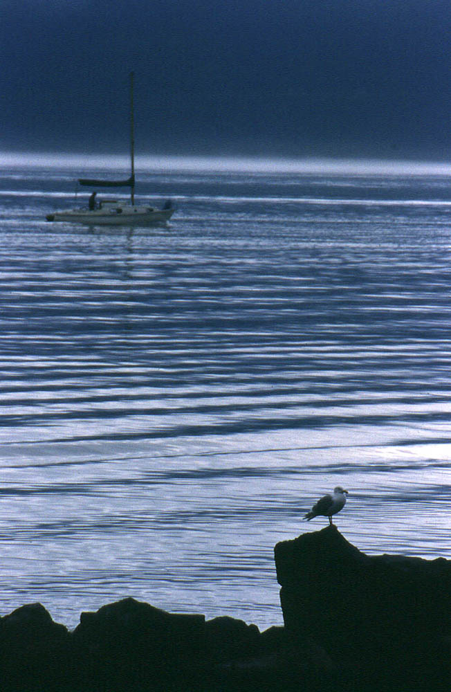 Seelandschaft, Seward, Alaska