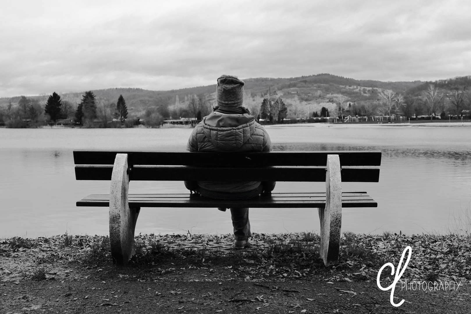 Seele baumeln am See