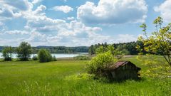 Seele baumeln lassen