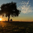 Seele baumeln lassen im Abendrot