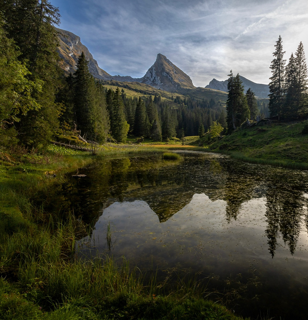 Seelein mit Bergblick