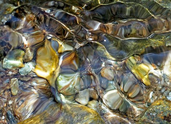 Seelenbild: Das Bächlein im Wald ganz aus der Nähe betrachtet.