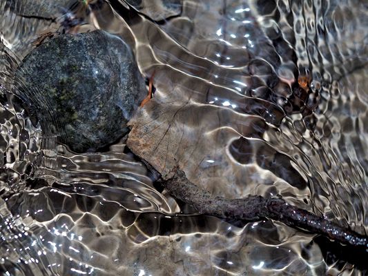 Seelenbild: Wasser- und Gefühlsbewegungen ,,,
