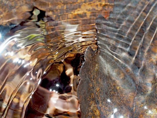 Seelenbild: Wasser- und Gefühlsbewegungen. - L'eau comme moyen d'expression!