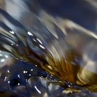 Seelenbilder 6: Wasser- und Gefühlsbewegungen - Reflets dans l'eau du ruisseau de montagne!