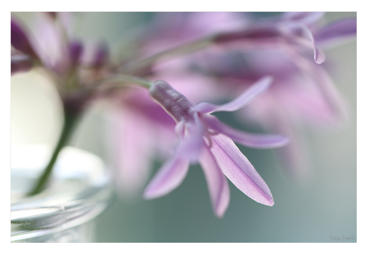 *SeelenFarben* Foto & Bild naturkreativ, aufnahmetechniken, natur