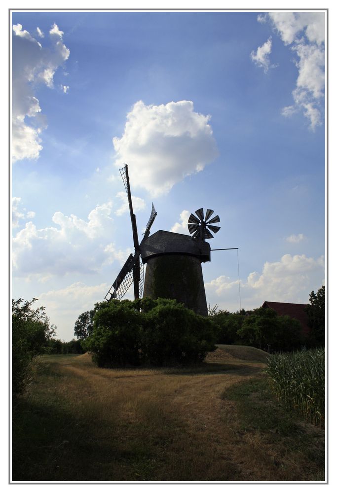 Seelenfelder Königsmühle am Abend(2)