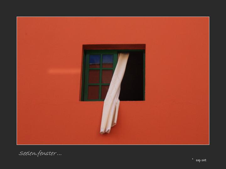 "Seelen.fenster ..." ...´11