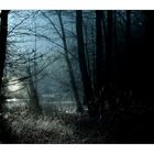 Seelenlandschaft II