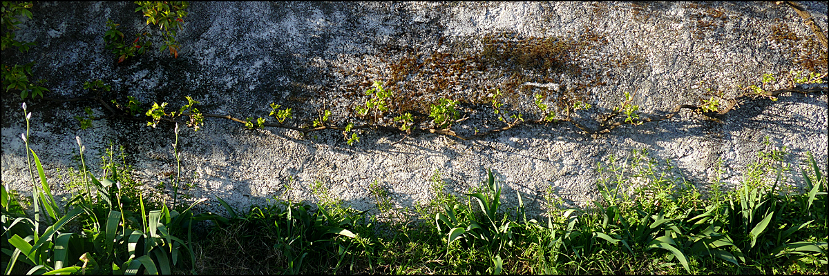 Seelenwanderung