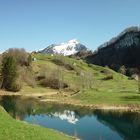 Seelisbergsee