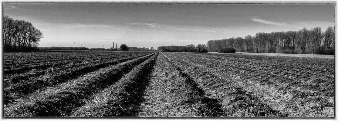 Seemingly Endless Field