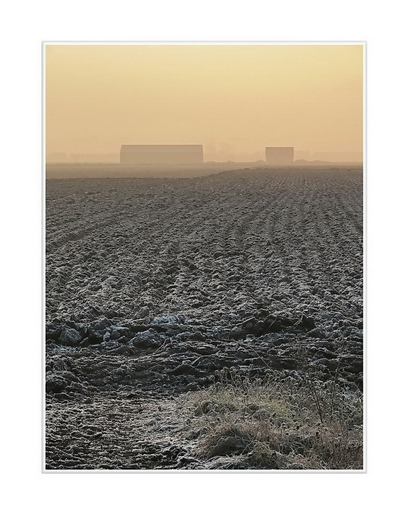 ... seen from Oranjedijk, (a foggy moment out of the picture diary of a resident)