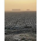 ... seen from Oranjedijk, (a foggy moment out of the picture diary of a resident)