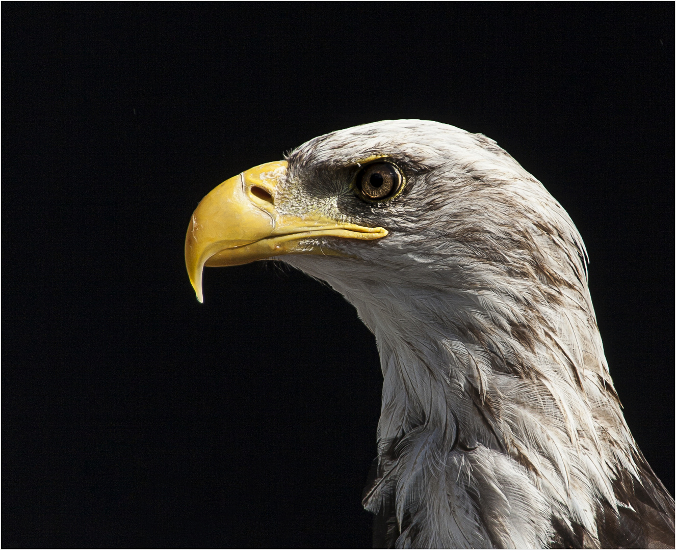 seen on photokina 2012 [1]