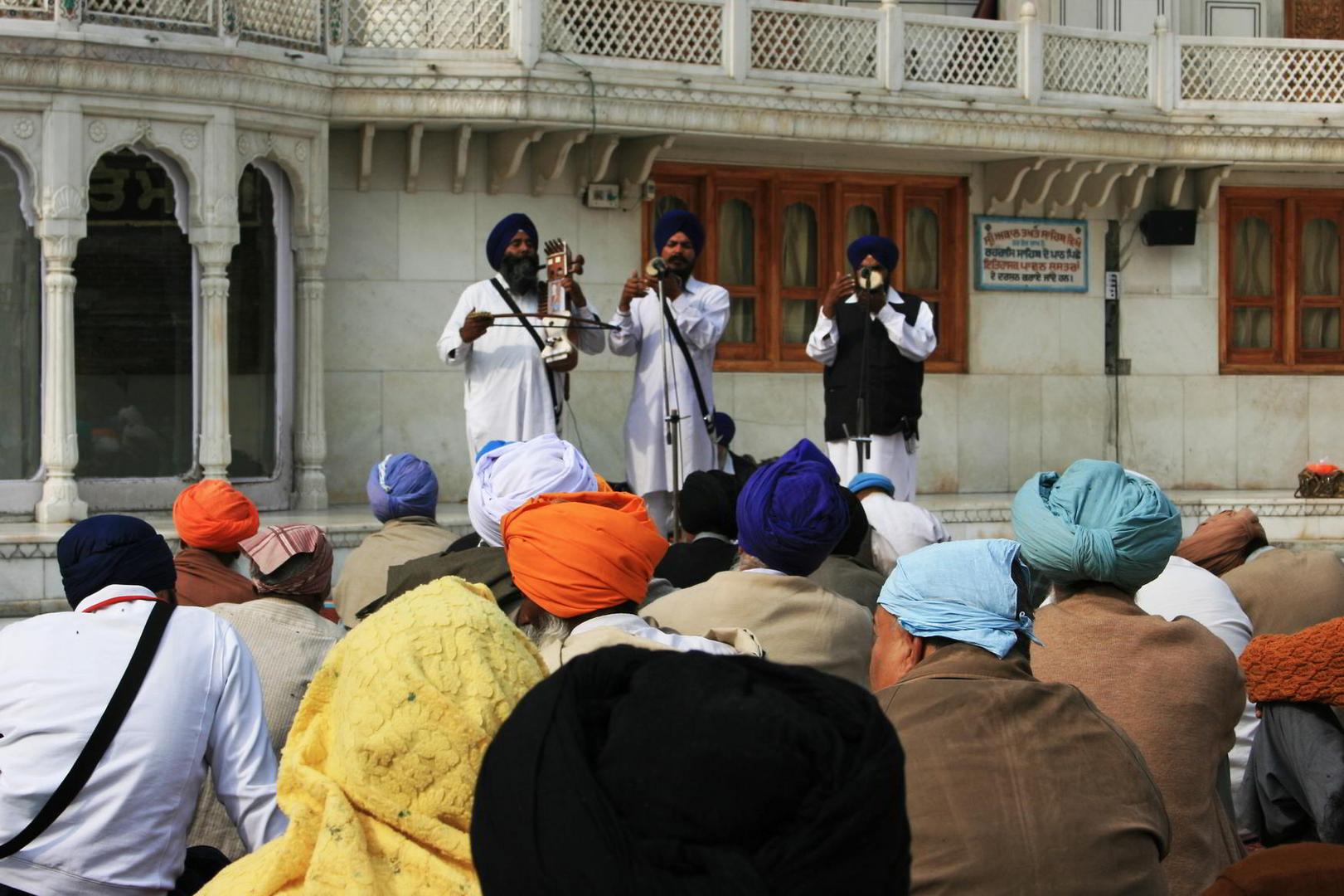 Seen the traditional musicians of the Golden Temple in Amritsar