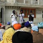 Seen the traditional musicians of the Golden Temple in Amritsar